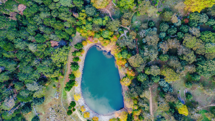 Aerial view of an oval-shaped pond surrounded by dense, colorful trees. The vibrant foliage ranges from green to autumn shades, creating a serene, natural scene.