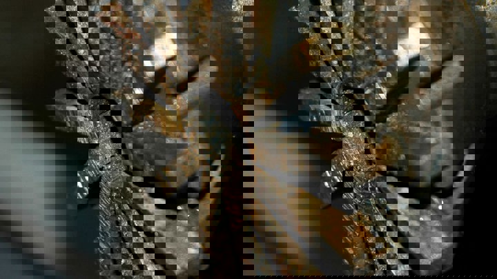 Close up of a rugged milling tool used in wireline operations to remove a permanent bridge plug and restore well flow offshore in the Middle East.